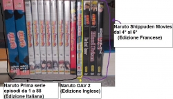 Ecco a voi la mia collezione internazionale di Naruto in DVD